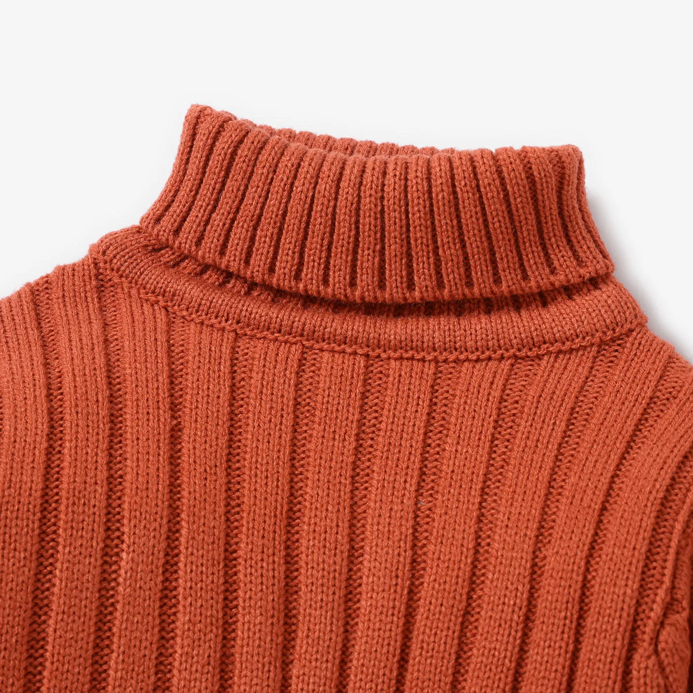 Toddler Girl/Boy Turtleneck Ribbed Knit Sweater